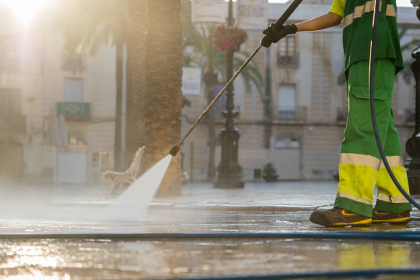 Best Roof Pressure Washing  in Palos Verdes Estates, CA